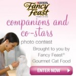 lifetimetv fancy feast photo cat contest