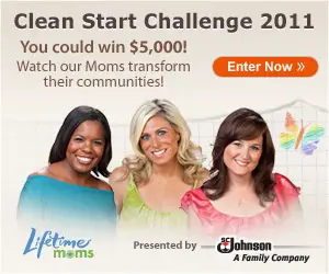 lifetime moms scj clean start challenge