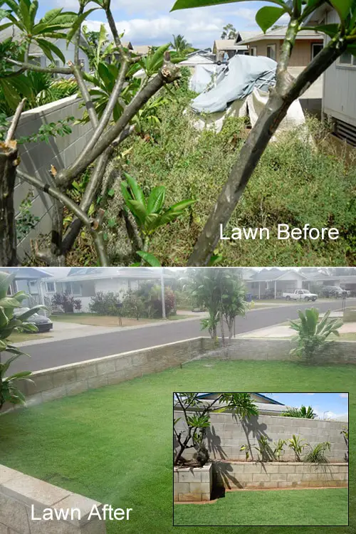 lawn makeover