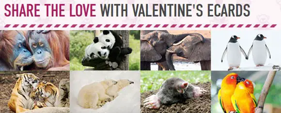 animal valentines ecards