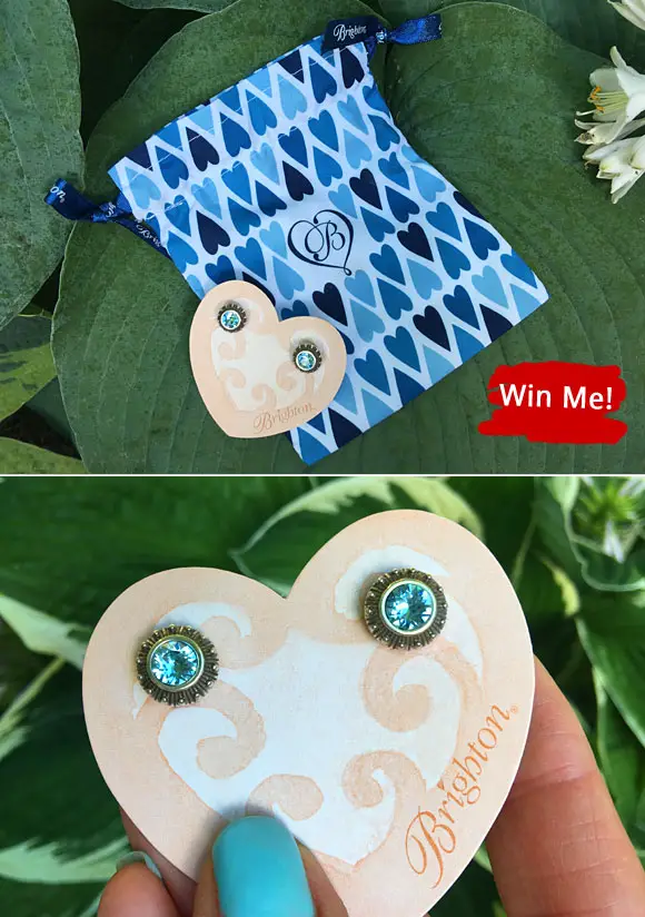 Win a pair of Brighton Sparkle Stud Earrings from SweetiesSweeps.com