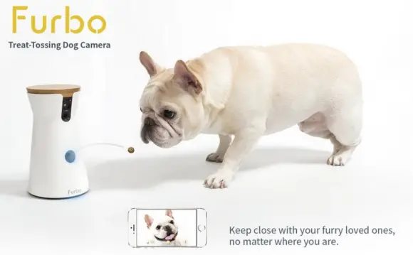 12 Days of Furbo Ultimate Pet Camera Giveaway