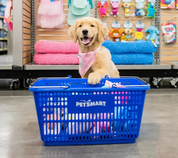 Puppy's First Visit to PetSmart Sweepstakes