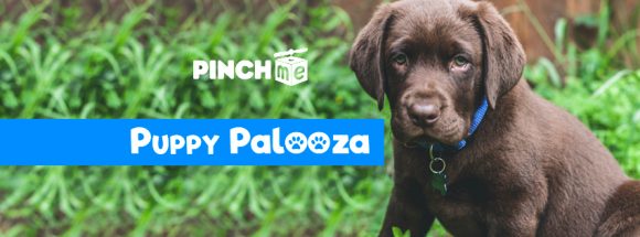 PINCHme Puppy Palooza Valentine's $1,000 Giveaway