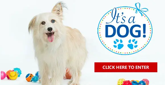 To celebrate the joyous act of adding a dog to a household, the NexGard (afoxolaner) team is launching a fun, easy pet registry. Sign up for a chance to be entered into a monthly sweepstakes and win up to $500 in prizes for your precious pup.