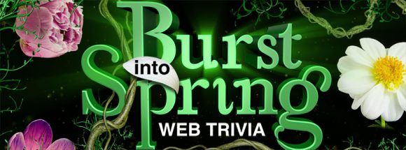 LIVE's Burst Into Spring Trivia Web Edition Sweepstakes Daily Answers