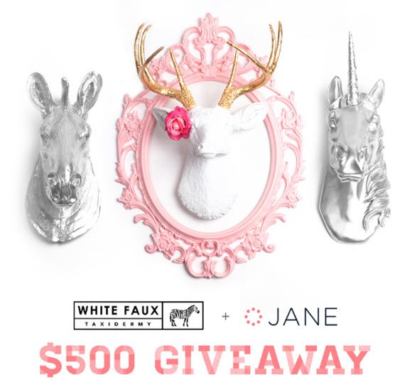 Jane.com White Faux Taxidermy Giveaway