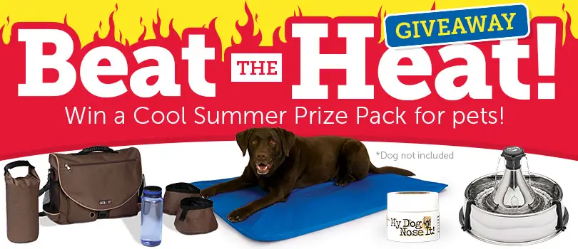 1-800-PetMeds is giving away three prize packages sure to help your pet breeze through the summer in style!