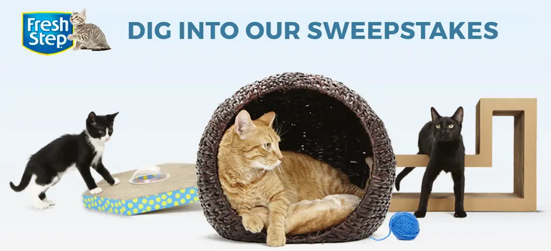Your cat deserves the very best. Keep your home fresh and clean - enter to WIN a full year supply of Fresh Step Cat Litter! Awarded as fifteen (15) coupons for a 25lb box of Fresh Step Cat Litter.