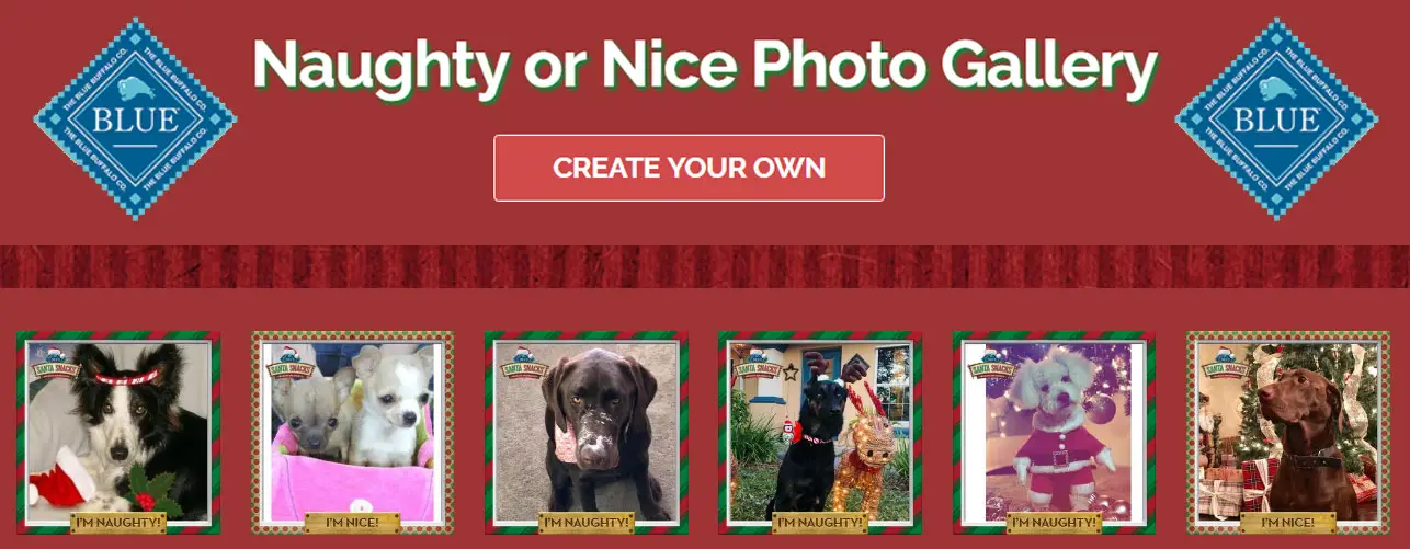 Create a naughty or nice dog or cat photo and upload it to enter for your chance to win Blue Buffalo goodies