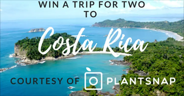 Enter for your chance to win a trip for two to Costa Rica. Spend 5 days and 4 nights in Costa Rica's incredible Manuel Antonio national park where you can explore beaches and jungles while PlantSnapping tropical flowers, plants, and trees! Prize includes airfare and accommodations for two people.