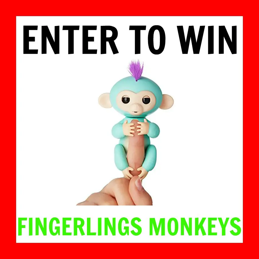 Enter to win the Sold-Out Hot Holiday Toy: Fingerlings Baby Monkey