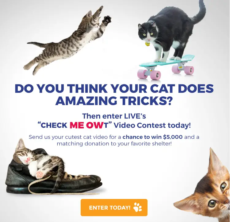 Does your cat do amazing tricks? Take a video and submit it for your chance to win $5,000 in cash for you and $5,000 to the feline rescue of your choice