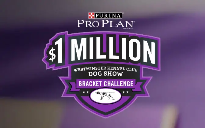 On February 12th and 13th, top dogs from around the world will venture to New York City to compete for the coveted title of Best in Show at the 142nd Westminster Kennel Club Dog Show, presented by Purina® Pro Plan®. Only one dog will break through to victory. Who will take the title this year? Pick a perfect dog show bracket and you could win $1 Million! plus you will also get the chance to win a year supply of Purina® Pro Plan® every day