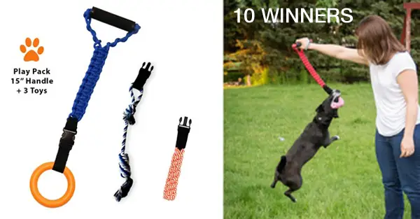 Enter to WIN 1 of 10 Tugrrr Dog Tug Toys