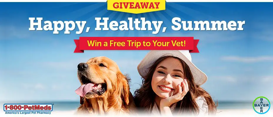 100 WINNERS 1-800-PetMeds Happy, Healthy, Summer Sweepstakes - Share a picture of your pet for a chance to win one of one hundred $200 AMEX gift cards