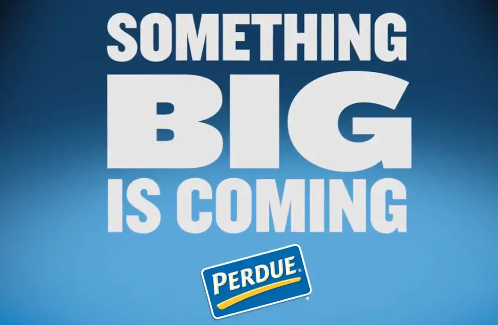 The Perdue Family has a big project they can’t wait to share. Get in on the action as they count down to the reveal with code words about this Top Secret Project. They could be your key to winning great prizes!