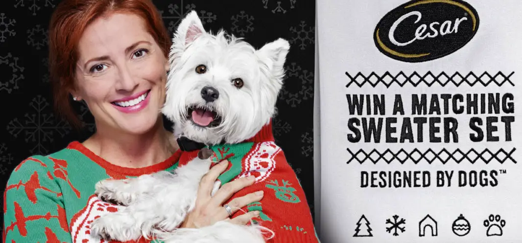 Enter the CESAR Twinning Sweepstakes for your chance to win a holiday sweater set! One for you. One for your Dog. plus If your entry is one of the first 500 received at or after 1:00 PM ET on November 5th, November 19th or December 3rd, you could win INSTANTLY!