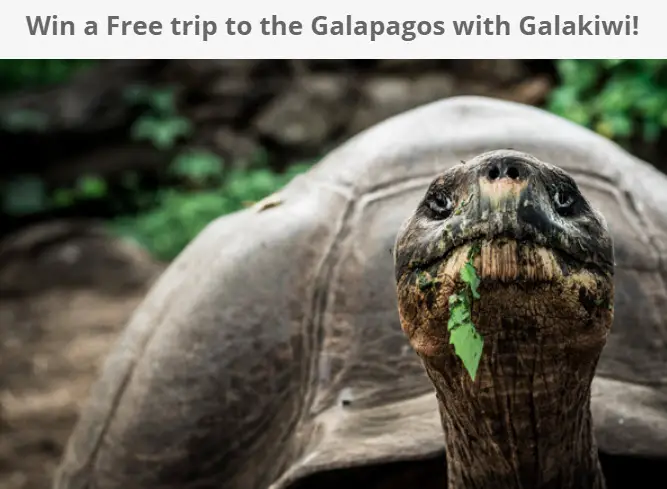 For your chance to win a 10-day Galakiwi land tour in the Galapagos Islands valued at $5,000 that includes all local fights, transportation and tour services as outlined on the Galakiwi website. 