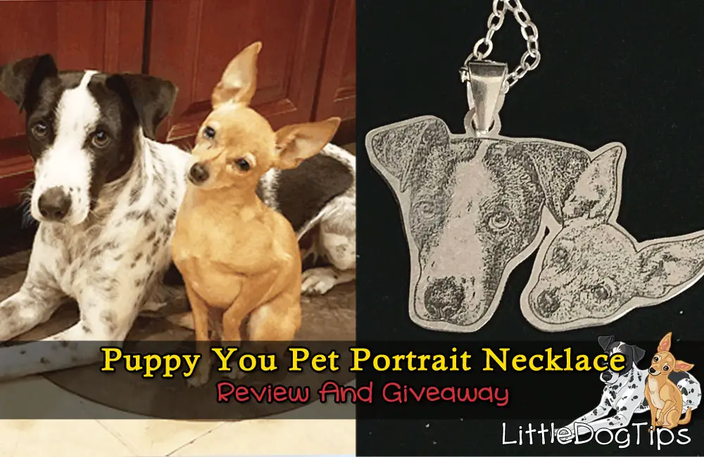Pet Portrait Necklace Giveaway