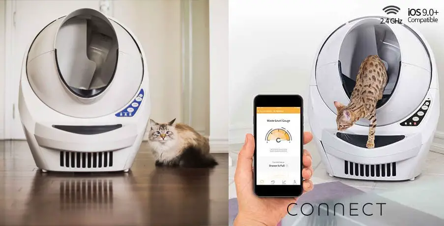 You could win a grand prize of a Litter Robot (in the form of a $500 Visa Gift Card) or one of seven daily prizes of a Fresh Step Deluxe Litter Scoop Station (in the form of a $10 Visa Gift Card) and a $15 Fresh Step gift card.