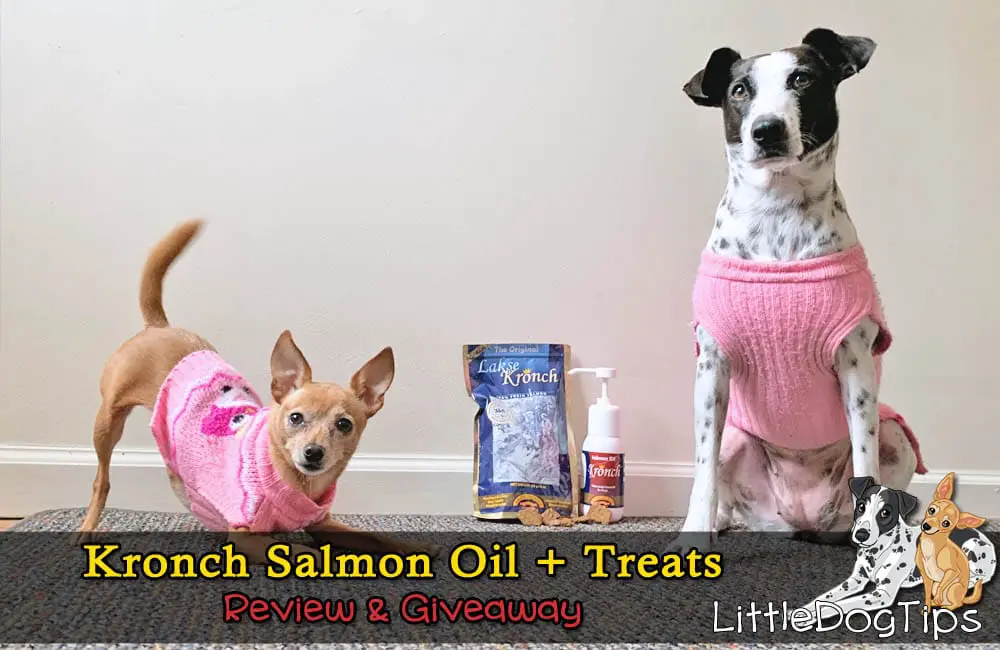 Enter for your chance to win Kronch Salmon Oil and dog treats. Kronch is a small Danish company that makes salmon oil and treats. Now that they’ve introduced their products to the United States, our dogs get to enjoy them.
