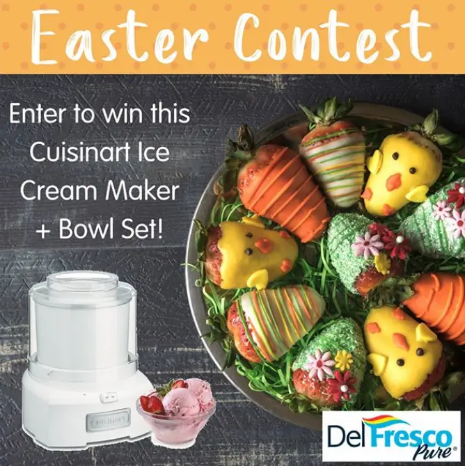 Win a Cuisinart Ice Cream Maker and bowl set.