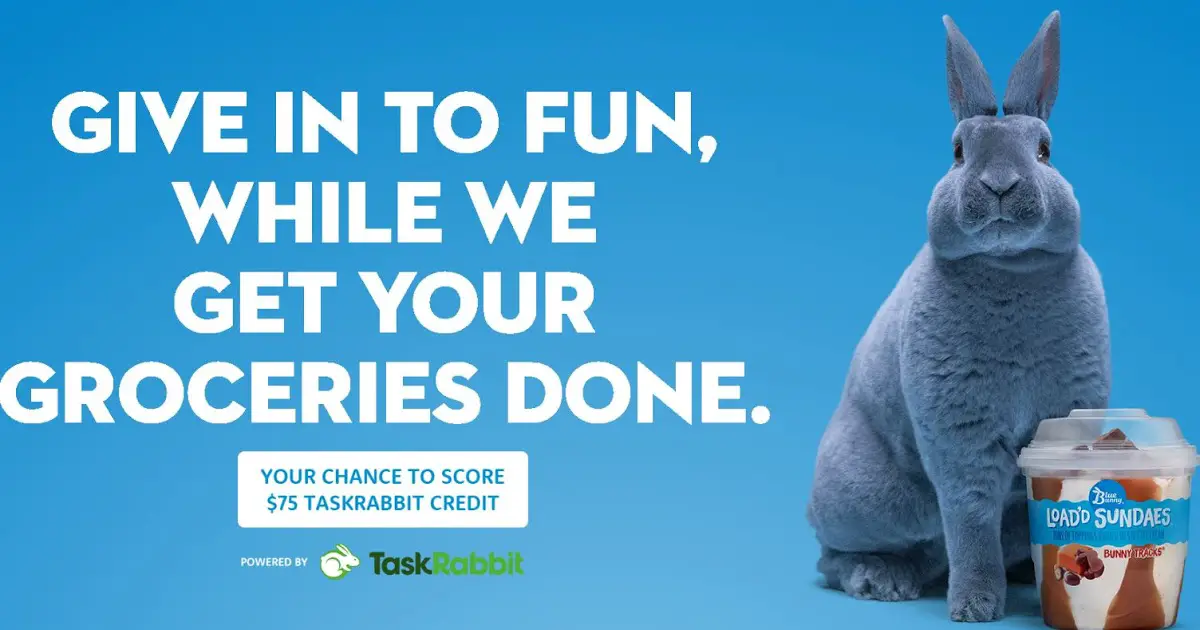 Play the Blue Bunny Task Force Instant Win Game daily to win Free TaskRabbit promo codes.