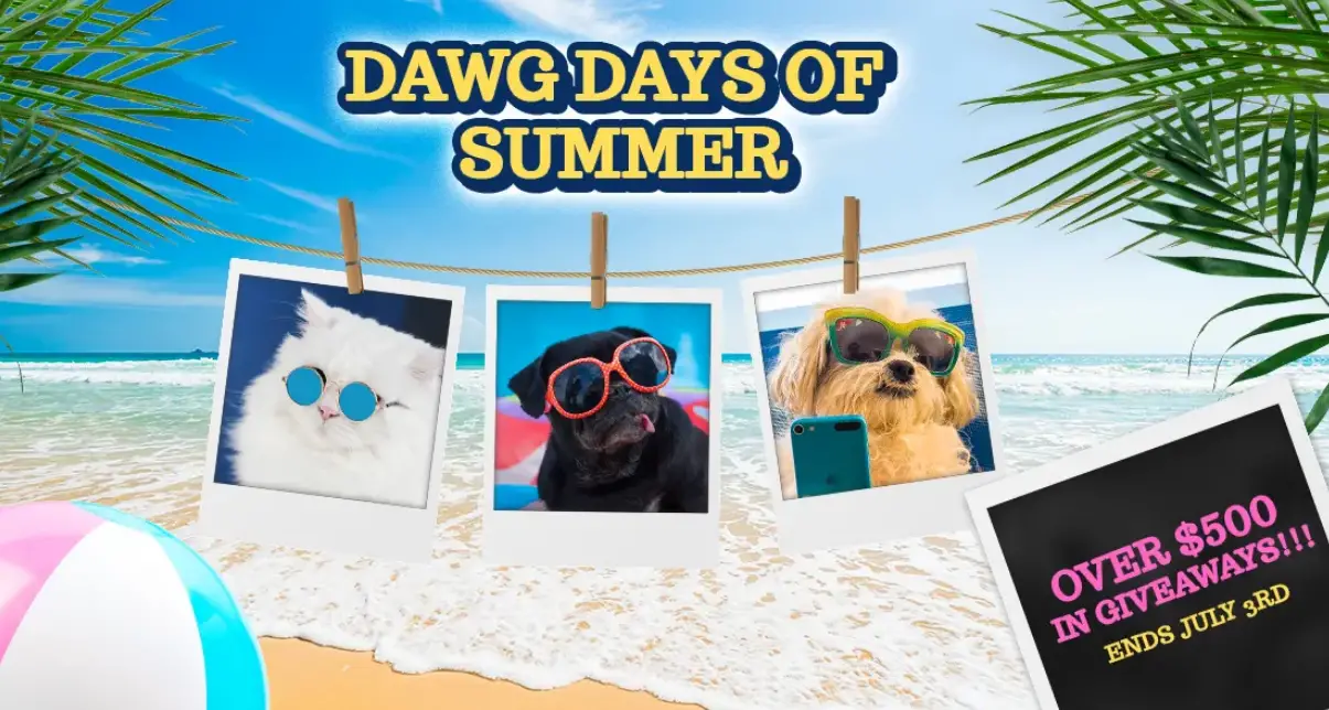 Enter for your chance to win over $500 in pet prizes in the Waggles.com Dawg Days of Summer Giveaway