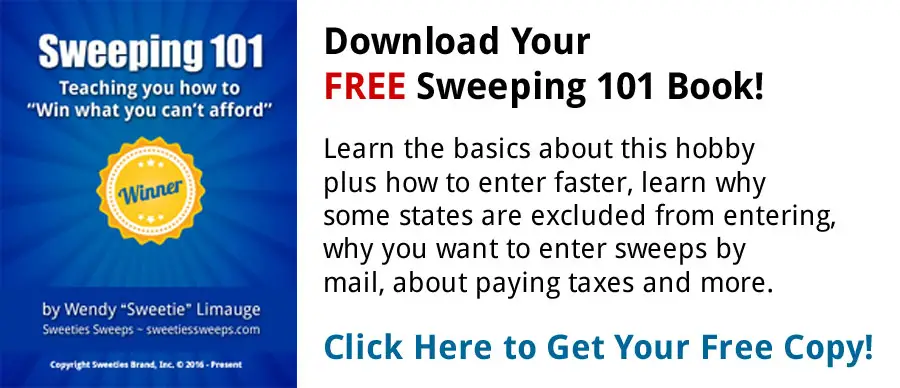 Download your Free "Sweeping 101" eBook