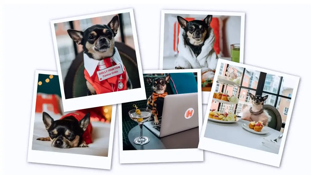 Hotels.com is on the hunt for their first ever hotel Canine Critic to review the best pet-friendly hotels around the world. It’s now all the rage to take your furry friend on your travels, so the winning pooch (and their human) will spread their “bark” and pick ten pet-friendly hotels around the world to visit on us. So, if you have a doggie diva, ’gram a pic of your pooch, tag and follow @hotelsdotcom and #CanineCritic. 