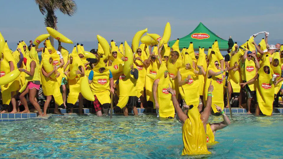 300 WINNERS! Enter for your chance to win Del Monte Halloween Banana Suit. Life’s Better in Bananavision! Del Monte will be selecting their favorite Better in Bananavision entries and sending you your very own Banana Suit, just in time for Halloween. Keep an eye on those DM’s and Go Bananas!!!