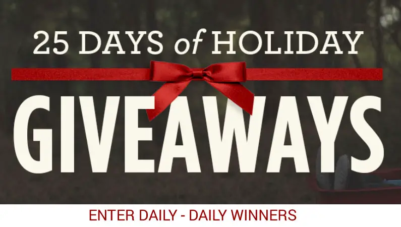 It's the Annual Radio Flyer 25 Days of Holiday Giveaways!