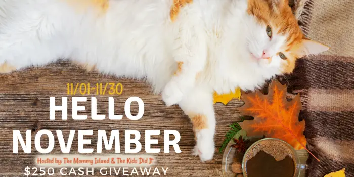 Enter for your chance to win a $250 PayPal Cash or Amazon Gift Card. It's November and The Kids Did It blog is hosting their annual November Cash Event. So don’t be a turkey lurkey, gobble your way over and enter the giveaway event!