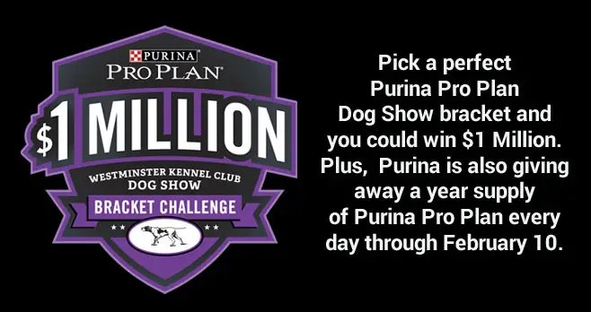 Pick a perfect Purina Pro Plan dog show bracket and you could win $1 Million. Plus, Purina is also giving away a year supply of Purina Pro Plan every day through February 10.