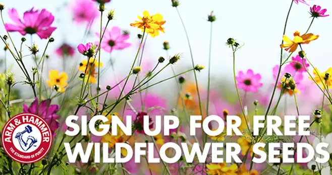 FREE Wildflower Seed Card from Arm & Hammer