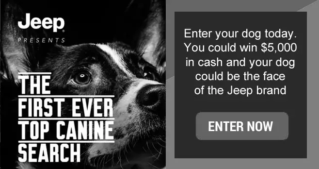Enter for your chance to win $5,000 in cash when you enter Jeep's first every Top Canine Search Contest! Your dog could be the face of the Jeep brand on social media! Follow Jeep and post the best pic of your pup with a Jeep brand vehicle and tag @Jeep, #JeepTopCanine and #Contest to enter. The winning dog will appear in exclusive content!