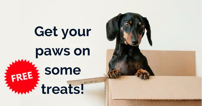 Get FREE Pet Treats and Pet Food Sample Box from Gratsy!