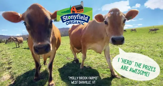 There will be 25 to 50 weekly winners in the Stonyfield Back to School Sweepstakes. Enter for your chance to win 1 of hundreds of field trip inspired prizes.