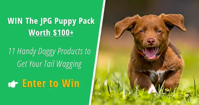 Enter for your chance to win The Jolly Paws Gazette Puppy Pack Worth $100+ comprising of 11 handy doggy products to get your tail wagging.