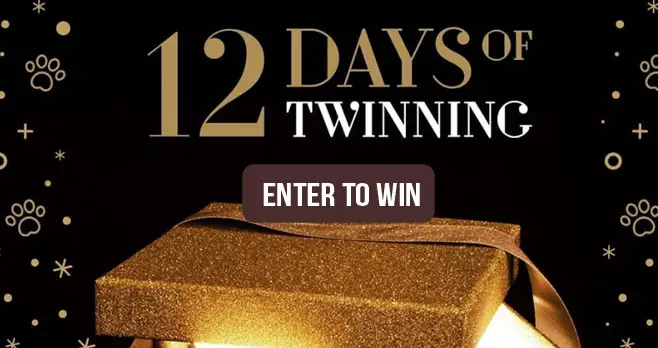 200 WINNERS! CESAR® "12 Days of Twinning". Rhymes with #winning. As in you can win a Advent holiday calendar full of gifts, treats and treasures for you and your dog. #12DaysofTwinning