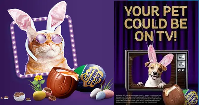 Is your pet a star waiting to be born? Now’s your chance to win the ultimate bragging rights: your pet in the CADBURY Bunny Commercial this Easter and $5,000! And again this year Cadbury is letting America help decide the winner! Enter today for your chance to win!