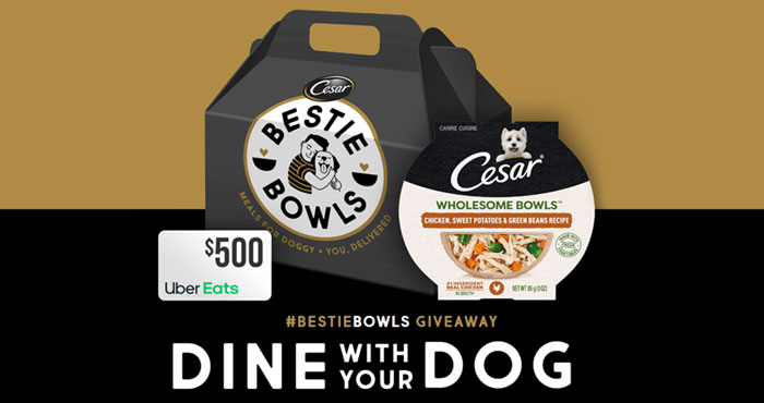 Enter for your chance to win a year's supply of of Cesar Wholesome Bowls plus a $500 Uber Eats Gift Card. Follow @cesarcuisine and post your photo with #BestieBowls #Giveaway or simply upload your photo on the website for a chance to win!