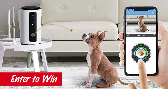 Win a Pet Treat Dispenser