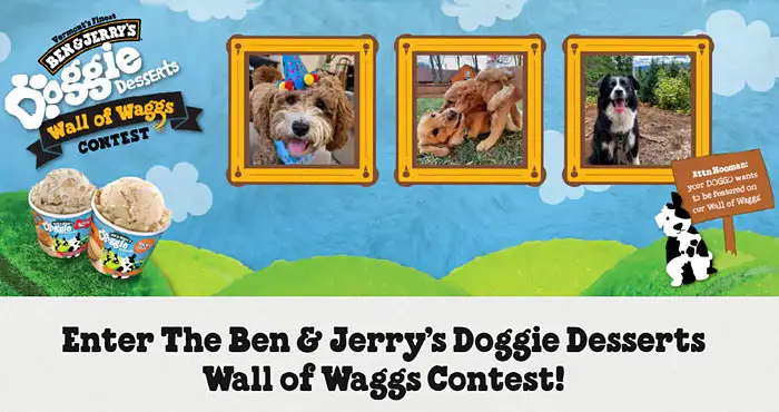 Ben & Jerry is hosting the Wall of Waggs photo and video contest to celebrate their new Doggie Desserts flavors, Rosie's Batch and Pontch's Mix.