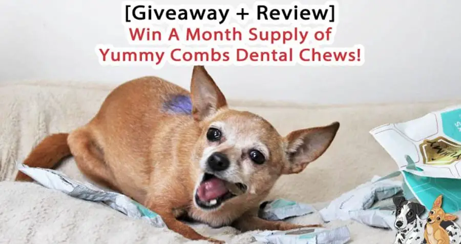 Three lucky winners will receive a month's supply of Yummy Combs Dental Chews for Dogs. A Yummy Comb is a long-lasting chew with a patented, six-sided hexagon shape to clean between teeth and reach plaque at the gumline. You can find Yummy Combs at your local PetSmart, Amazon and other online retailers.