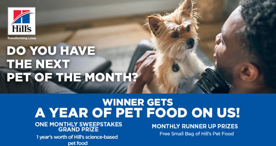 Share a photo of your dog or cat to be the Hill's Pet of the Month and for a chance to win the monthly Grand Prize, or 1 of 54 runner-up prizes! Each month, new winners will be announced, and you can enter again each month for a new chance to win.