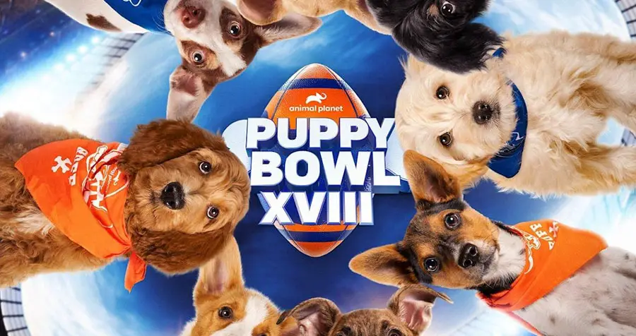 To celebrate Puppy Bowl’s Kitty Halftime Show, Animal Planet and the team at Clump & Seal SLIDE™ cat litter want to give one lucky winner a $5,000 check! Runner-up winners will receive fifteen coupons to be used toward any Arm & Hammer brand cat litter. Enter daily through February 14th for a chance to win!