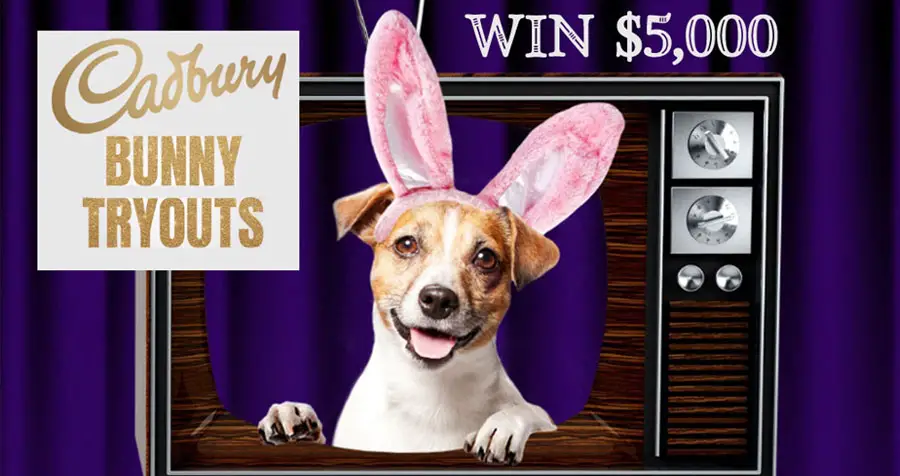 Your pet could be on TV! Is your pet a star waiting to be born? Now’s your chance to win the ultimate bragging rights: your pet in the CADBURY Bunny Commercial this Easter and $5,000! And again this year, we’re letting America help decide the winner! Enter today for your chance to win!