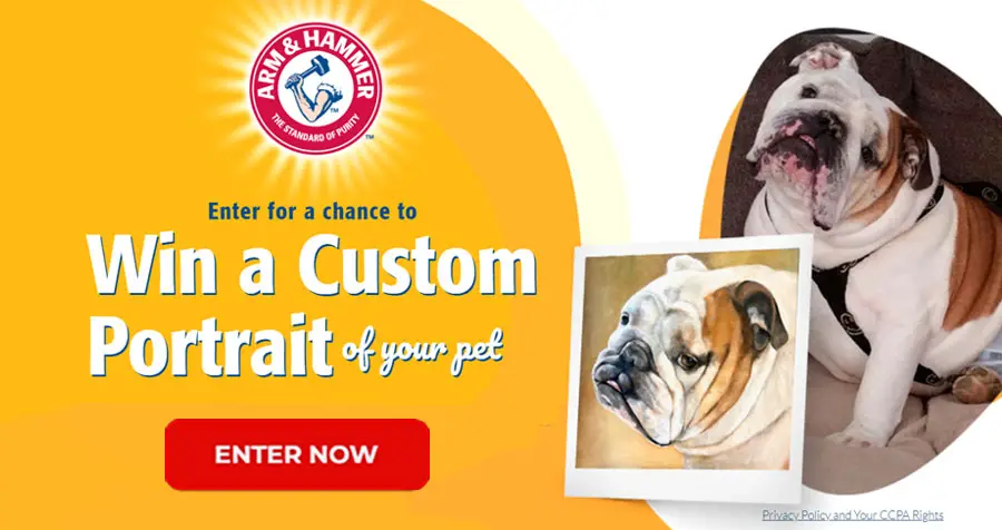 ARM & HAMMER™ is proud to present the Show Us Your Best Friend photo sweepstakes. What better way to honor your best friend than a custom portrait? You could win a 3’ x 3’ custom painting of your pet, a $2,000 value. To enter, simply upload your image and write a description.